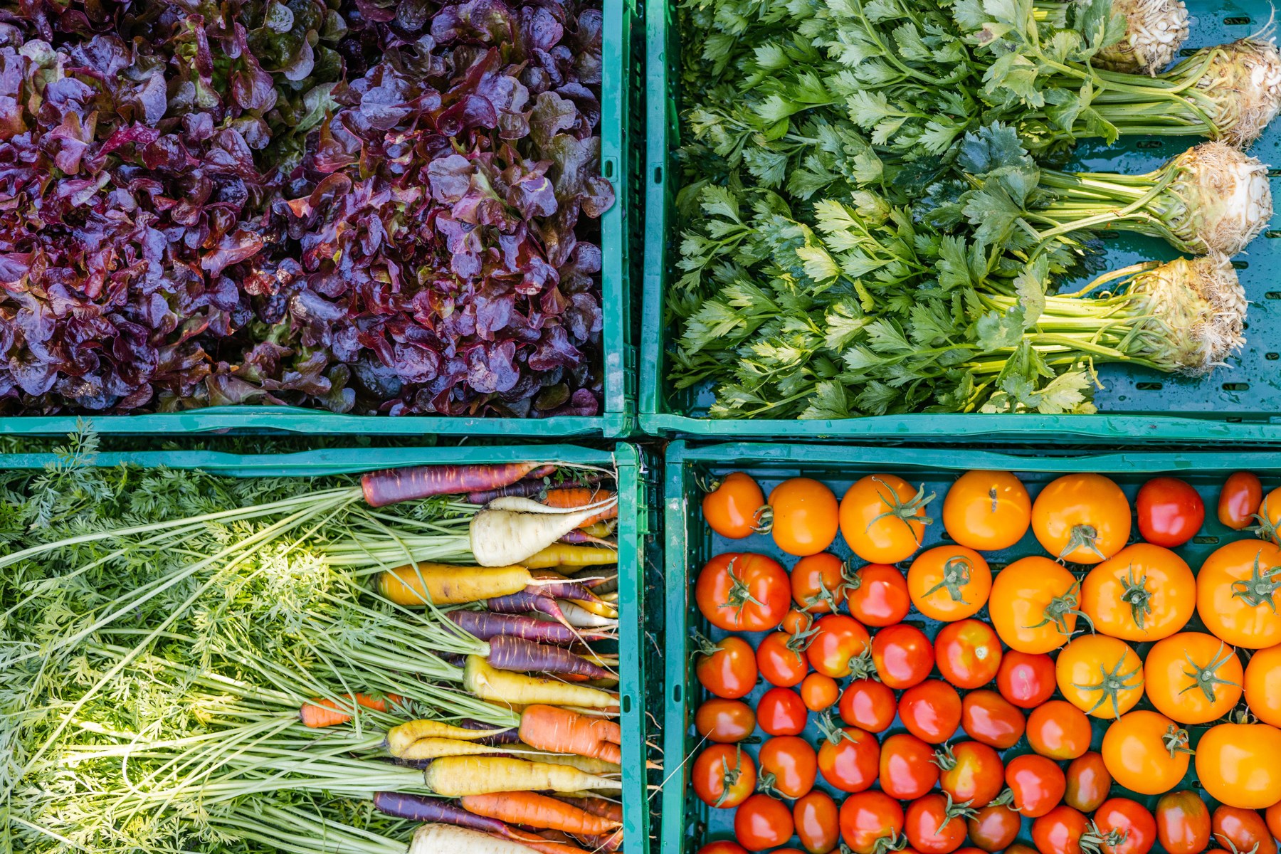 Market-Gardening-Beete auf der Tiny Farm in Teufen