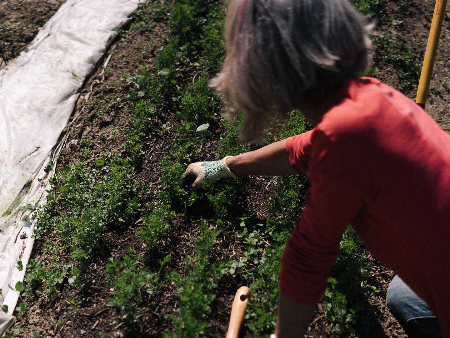 Team beim gemeinsamen Arbeiten auf der Tiny Farm