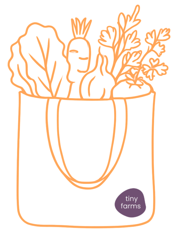 Illustration einer prall gefüllten Gemüsetasche