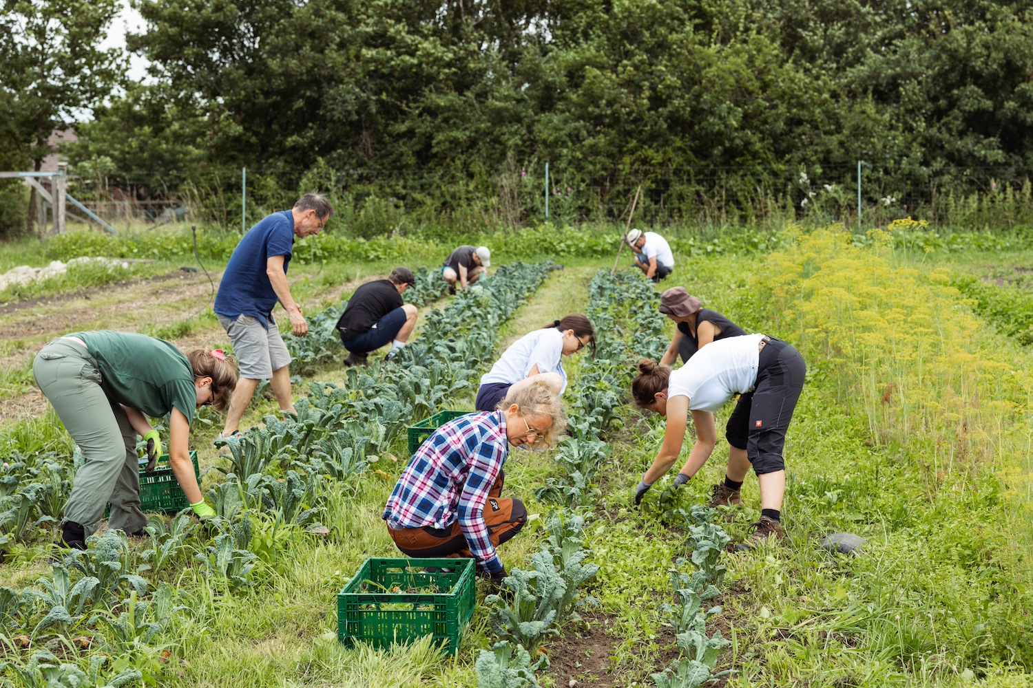 Gewächshaus mit Jungpflanzen auf der Tiny Farm
