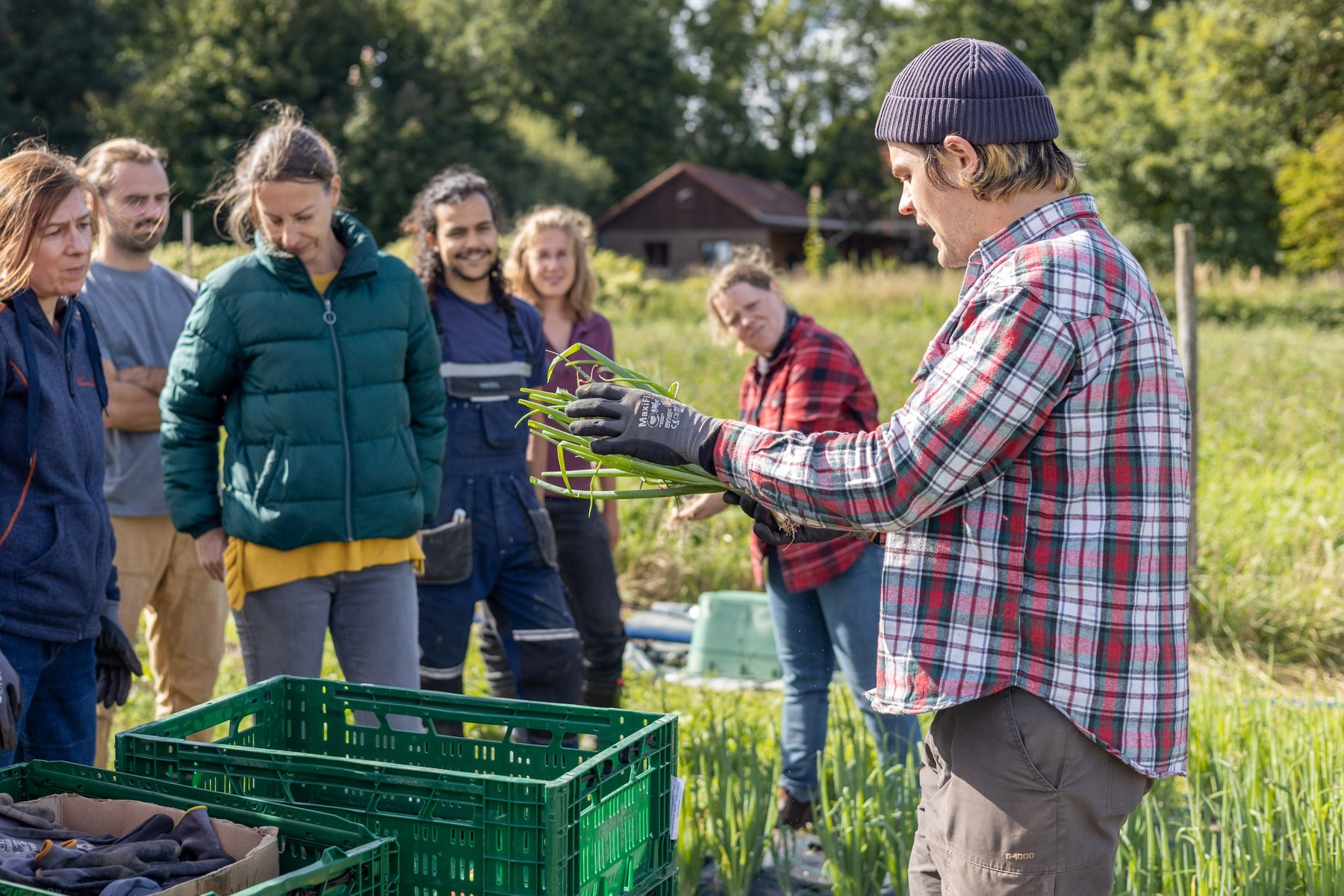 Gärtner erklärt etwas auf dem Feld