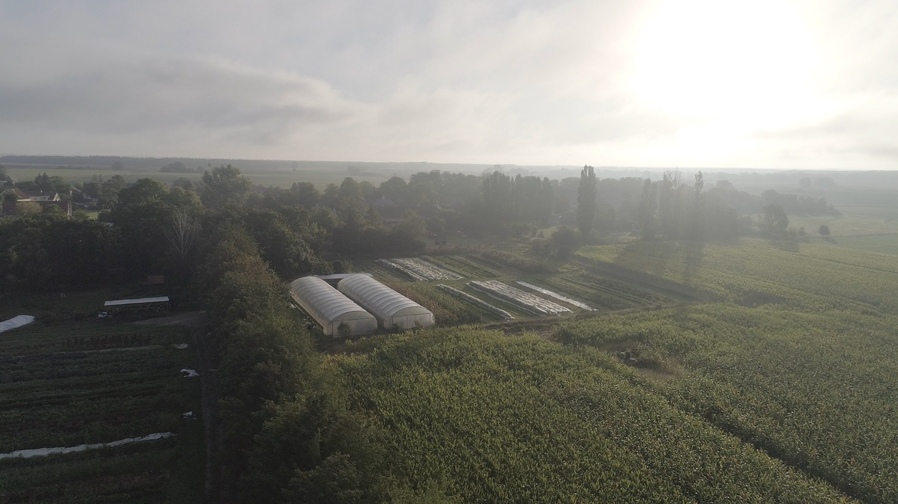 Luftaufnahme der Tiny Farm mit Feldern und Tunneln