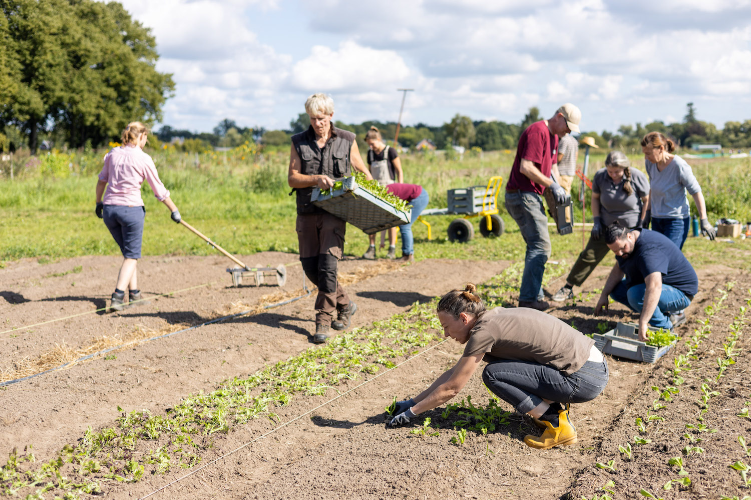 Gemeinsame Gartenarbeit auf der Tiny Farm