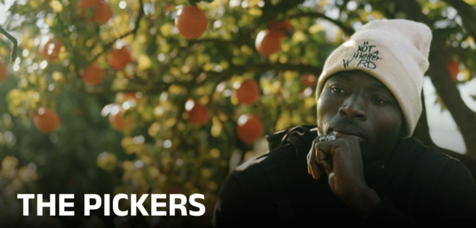 Filmabend "THE PICKERS"