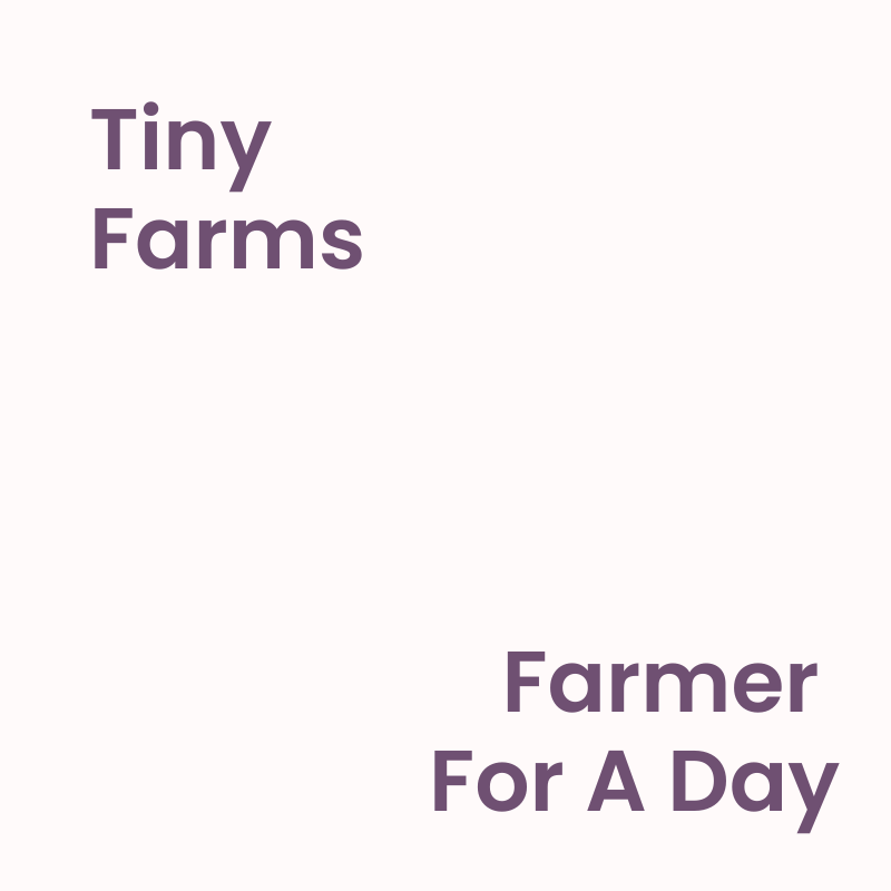 Farmer For A Day