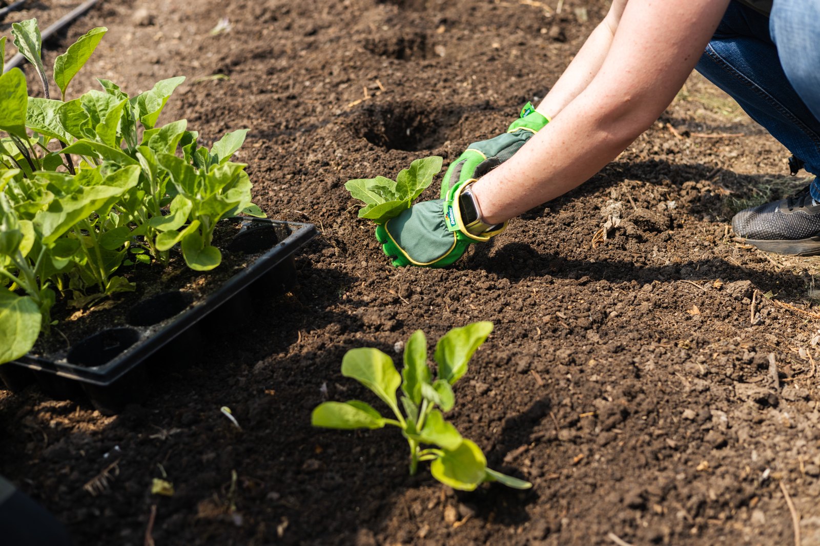 Gemüse-Masterclass mit Tiny Farms und Esther Kern