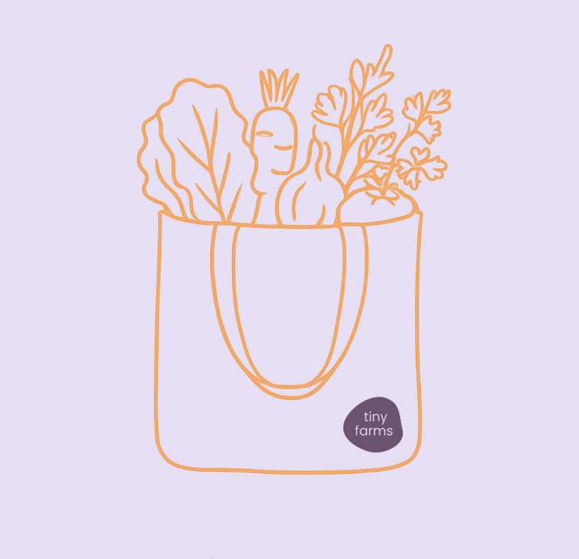 Gemüsetasche im Abo (alle 2 Wochen)